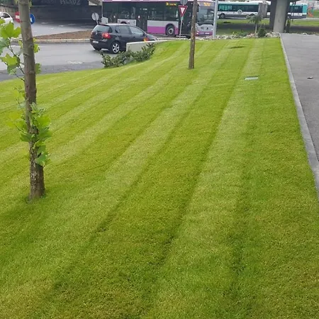 New Transilvania * Cluj-Napoca