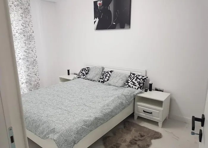 New Transilvania Cluj-Napoca