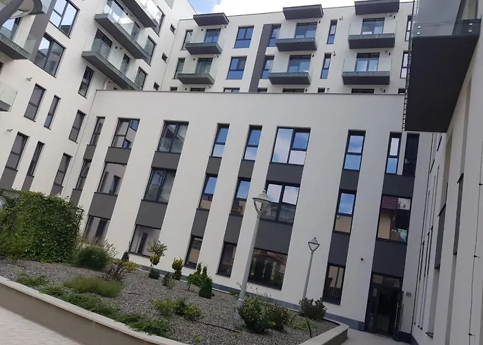 New Transilvania Cluj-Napoca