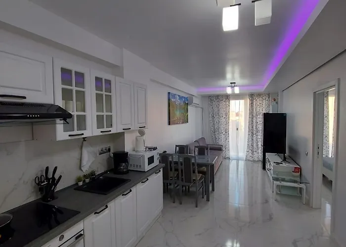 New Transilvania * קלוז'-נאפוקה